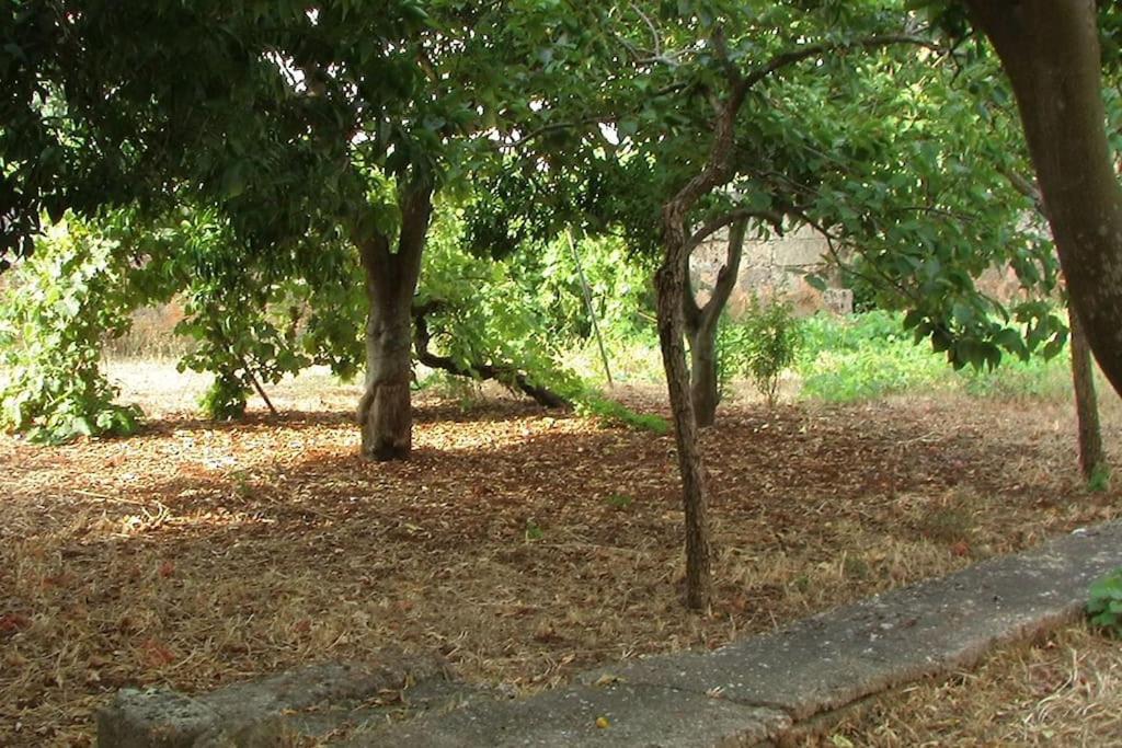 Villa Nel Salento - Ampie Camere E Giardino, Fino A 9 Persone Barbarano del Capo Ngoại thất bức ảnh