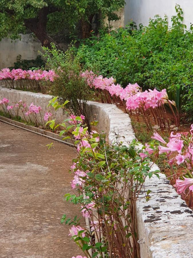 Villa Nel Salento - Ampie Camere E Giardino, Fino A 9 Persone Barbarano del Capo Ngoại thất bức ảnh